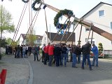 Maibaum_2016 (96).JPG